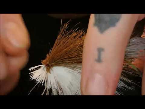 Risto The Rotta Haukiperho