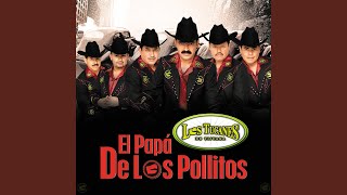 El Papa de Los Pollitos