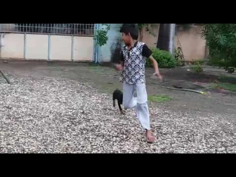 Vishu &vishu friends  mansukh lathiya