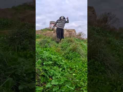 If you ever see the Serbian Dancing Lady, run as fast as you can…😨🔪 #shorts #serbianlady #run