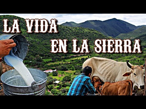In the Sierra de Paredes Rioverde San Luis Potosí