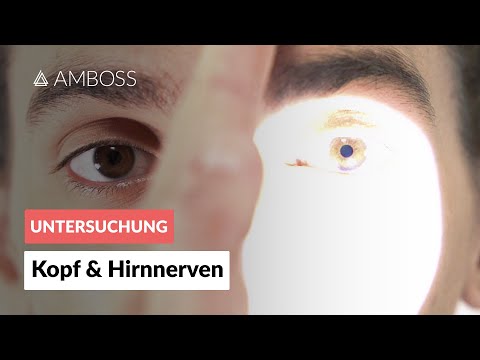 Kopf & Hirnnerven – Neurologische Untersuchung (Teil 2/6) | AMBOSS