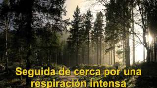 Bob Lind - Elusive Butterfly