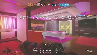 シージんちん