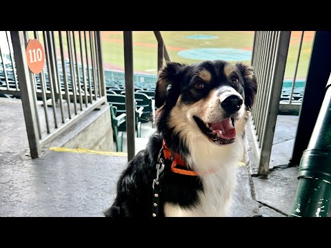 Maverick Elite Montgomery AL 