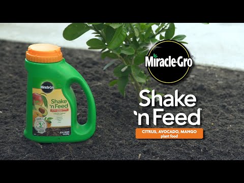 , title : 'How to Use Miracle-Gro® Shake 'n Feed® Citrus, Avocado, Mango Plant Food'