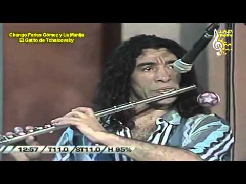 EL GATITO DE TCHAICOVSKY - Farías Gómez y La Manija (1995)