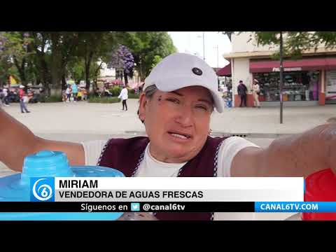 Video: Clima y costos de insumos, Impactan ventas de comerciantes