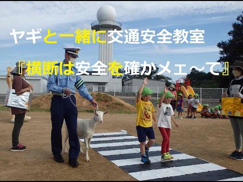 ヤギと一緒に交通安全教室『横断は安全を確かメェ～て』