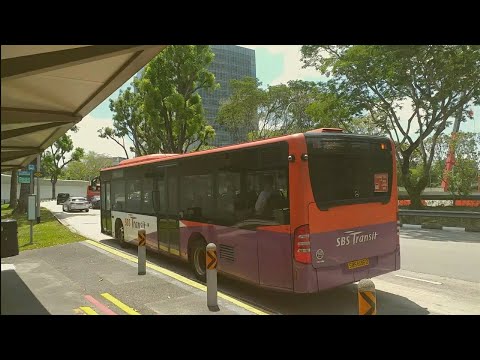 SBS Transit: Ride Onboard [SBS6136D] On Service 33 + Departure