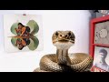 Megan Thee Stallion MEGAN ALBUM REVIEW