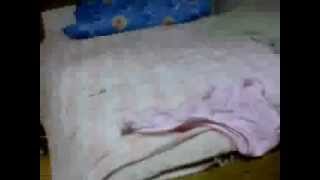 NASAAN KA DARLING-BIGOTE