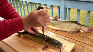 Нож складной rapala sfm-k folding fishing knife