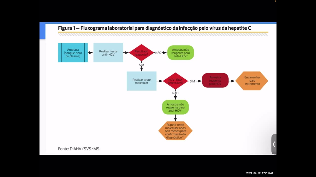 Aula Hepatite C 2024 - Dra. Isabel Bastos