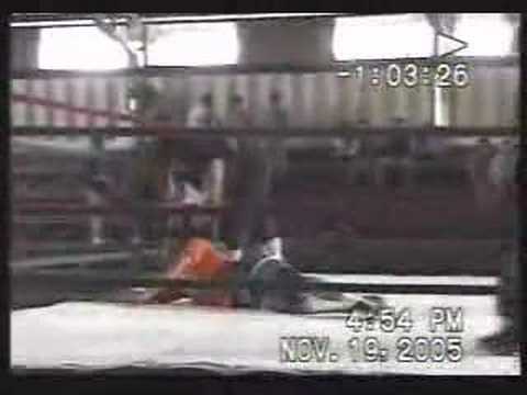 AML-guanchulo vs facktor