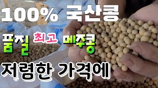 품질 좋은 메주콩 저렴하게 직거래 합니다  100% 국내산 보장