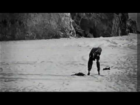 No Limit Forever Records - COMING IN 2011!