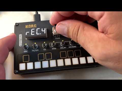 Pure KORG NTS 1 MKII - 30 Min. Sequencer Play (no external FX Pedal)