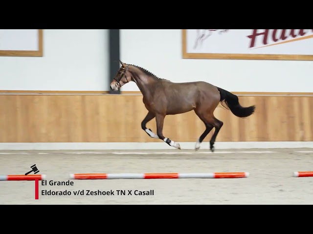El Grande
