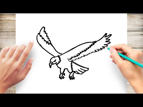 How to Draw a Flying Eagle Step by Step for Kids - YouTube