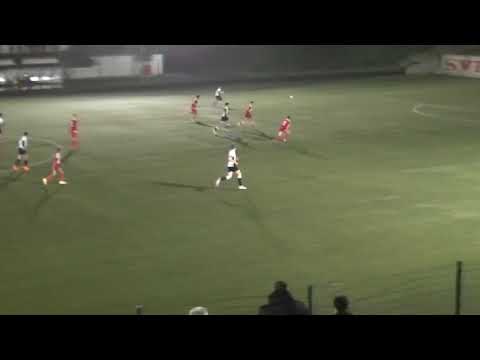 Academica - Piksi 7:2 (Hamzićev gol za 2:0, asistencija Zornija)