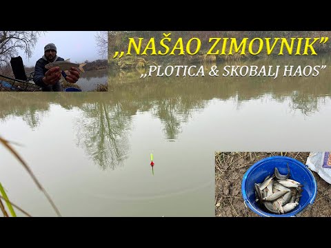 "Našao Zimovnik! Pecanje na Plovak Ludilo - Plotica i Skobalj Bez Pauze!"