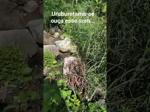 Uruburetama-ce sitio água sumida itacolomy !!!