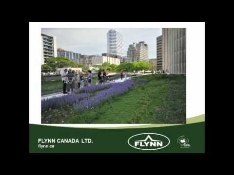 VS2011#7 - "Constructing Gardens in the Sky" by Terry McGlade