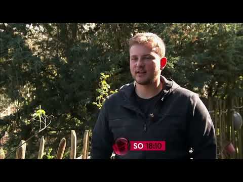 TV Programm heute Abend 18:10 - Sonntag, 04.09.2022 - VOX - Die Beet-Brüder