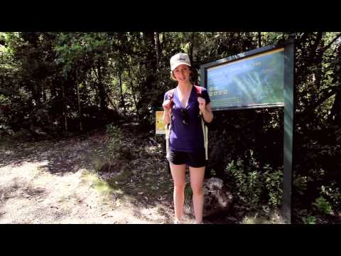 Whakatane - no coração