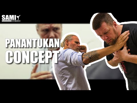 PANANTUKAN CONCEPT - ONLINE TRAINING - What is our idea, concepts and structure?