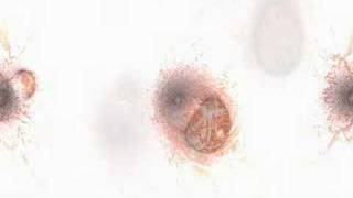 Brian Eno H.Budd The Plateaux of Mirror :An arc of doves