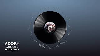 Miguel - Adorn (JAE5 Remix)
