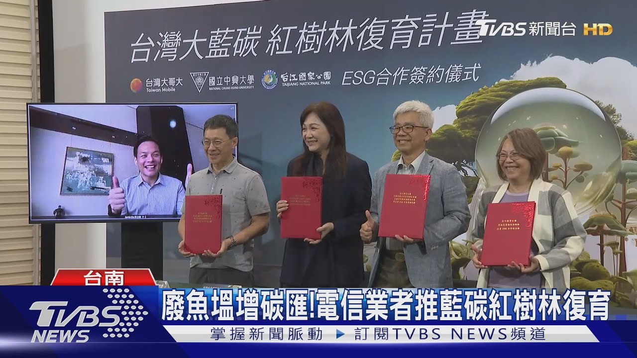 廢魚塭增碳匯!電信業者推藍碳紅樹林復育