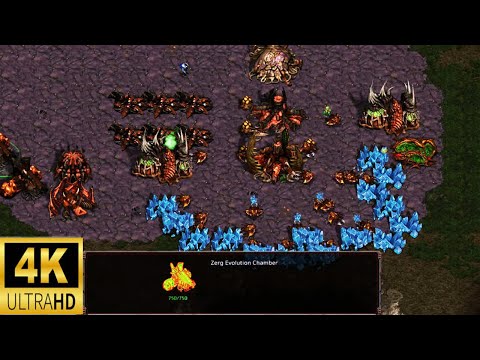 Starcraft 3v3 2021014