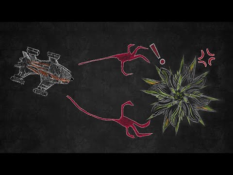 Cold Orbit Quick Guide : Optimal start for Flakless fights
