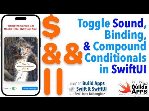 Ch 1 17 Toggle, Sound Off + Compound Conditionals in SwiftUI (2025)