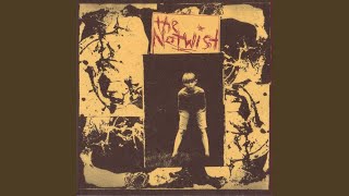 Music video thumbnail preview for M. Del Terror by The Notwist