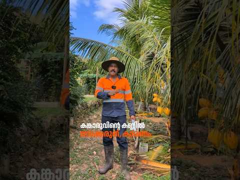 കണ്ണിൽ നോക്കരുത് 😂  #australianjeevitham