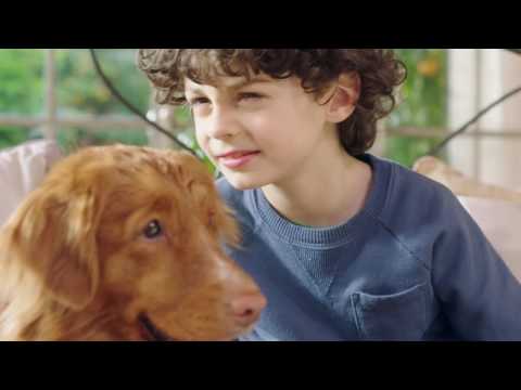 EMULSIO CATTURAODORI - 2016