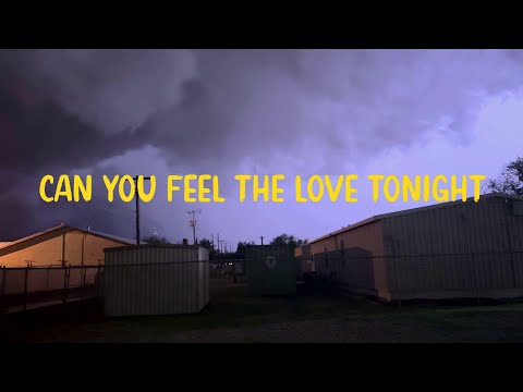 Simple Plan - Can You Feel The Love Tonight (From A Whole New Sound) Lyrics