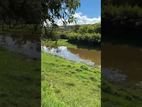 Caseteja - Suaita Santander #suaita #disconnectbga #santander #colombia