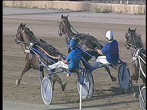 Trotto 01/07/2017 - 2ª corsa