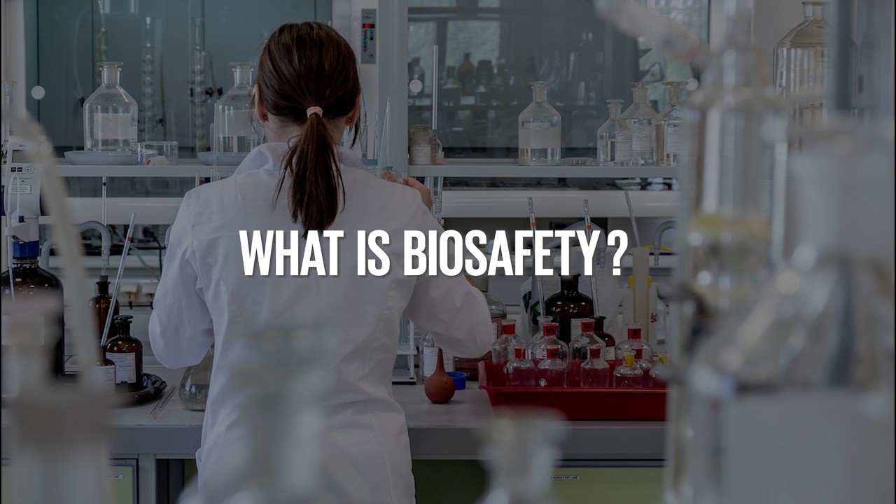 COP 16 - Outcomes - Biosafety