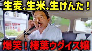 ※沖縄県知事選挙。古謝げんたの応援に 榛葉ウグイス嬢が参上！【国民民主党 榛葉賀津也】