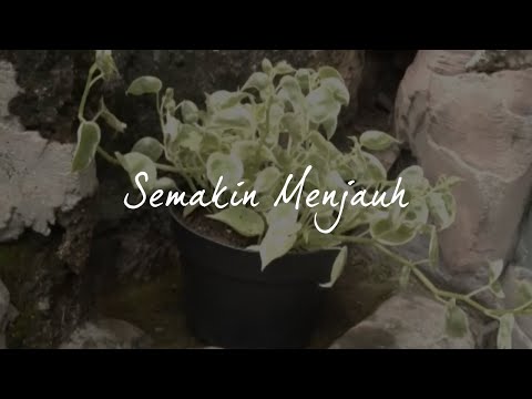 DNA7 Band - Semakin Menjauh (Official Lyric Video) | 2016 ver.