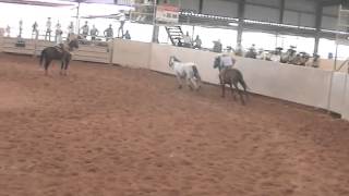 Francisco-Rancho Amapolas