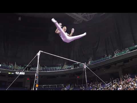 Petro Pakhniuk (UKR) - High Bar - 2019 American Cup