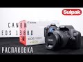 Фотоаппарат цифровой CANON EOS 1300D 18-55 DC Kit 1160C020AA - видео