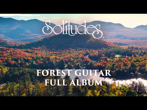 1 hour of Relaxing Music: Dan Gibson’s Solitudes - Forest Guitar (Full Album)